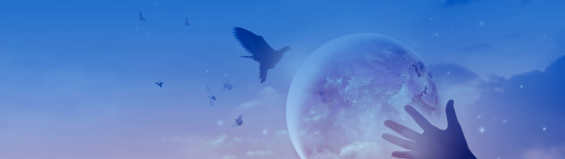 佰富彩采购大厅(welcome)官网