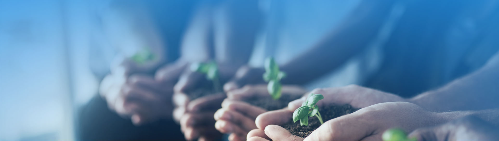 佰富彩采购大厅(welcome)官网