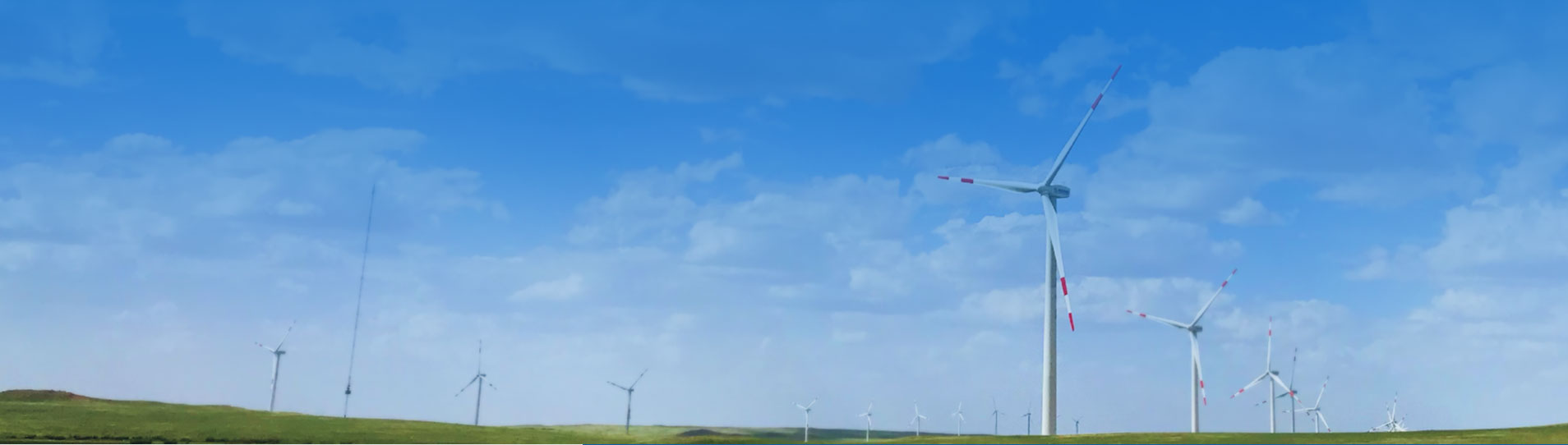 佰富彩采购大厅(welcome)官网